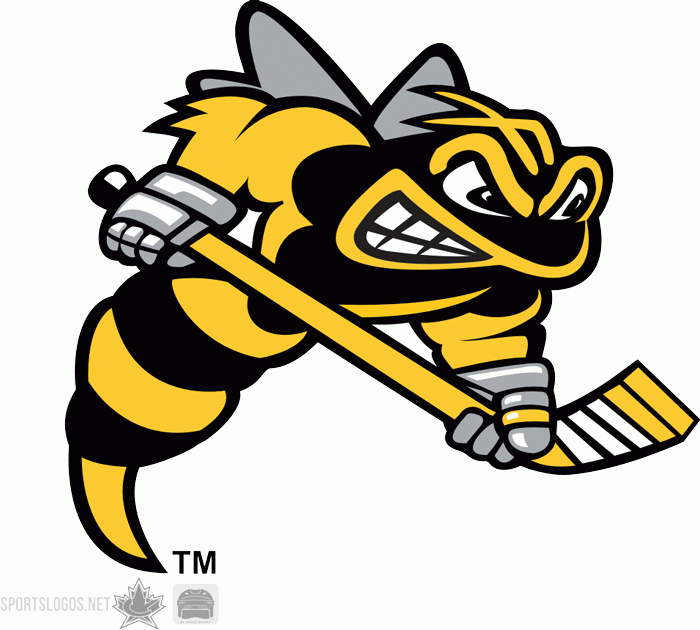 Sarnia Sting 1999-pres secondary logo iron on heat transfer